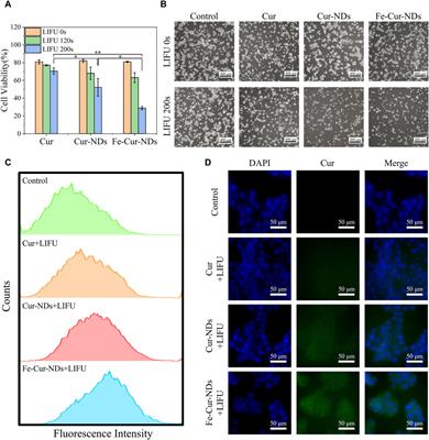 Integrated micro/nano drug delivery system based on magnetically responsive phase-change droplets for ultrasound theranostics